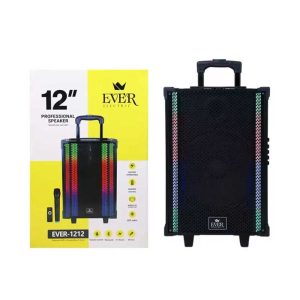 تصویر اسپیکر بلوتوثی EVER-1212 با نورپردازی ال‌ای‌دی رنگی، دسته تلسکوپی و چرخ‌های حمل